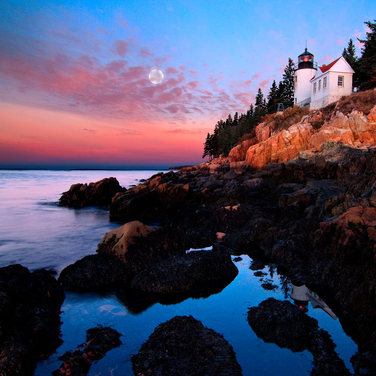 Acadia National Park | Wildlife and Wild Lands