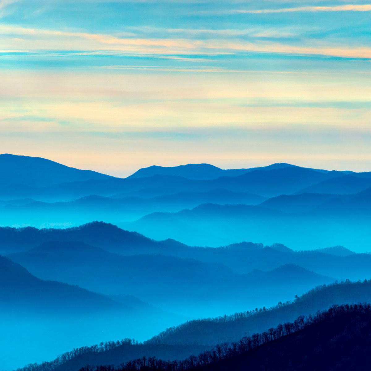 Great Smoky Mountains National Park | Wildlife and Wild Lands